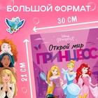 Многоразовые наклейки «Открой мир принцесс», формат А4, Принцессы - Фото 2