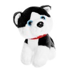 Мягкая игрушка «Собачка», 20 см, цвета МИКС - фото 3217039