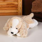 Мягкая игрушка «Пёсик», цвета МИКС - фото 3217040
