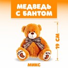 Мягкая игрушка «Медведь с бантом», цвета МИКС - фото 108926119