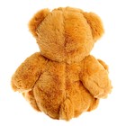 Мягкая игрушка «Медведь с бантом», цвета МИКС - фото 3217046