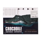Крокодил радиоуправляемый, плавает, работает от аккумулятора, цвет зелёный - фото 6717736