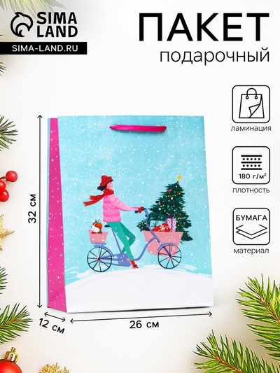 Пакет подарочный новогодний ламинированный «Вело-прогулка», 26×32×12 см