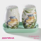 Набор для специй Доляна «Флора и Фауна», солонка, перечница 80 мл, доломит, белый, зелёный - Фото 1