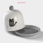 Лимонница Доляна «Уютные коты», 9×9 см - Фото 2