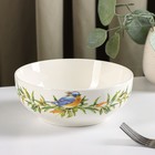 Салатник Доляна «Флора и Фауна», 600 мл, d=15.5 см - Фото 1