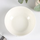 Салатник Доляна «Флора и Фауна», 600 мл, d=15.5 см - Фото 3