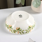 Салатник Доляна «Флора и Фауна», 600 мл, d=15.5 см - Фото 4