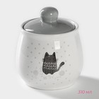 Набор сервировочный Доляна «Уютные коты», 2 предмета: молочник 270 мл, сахарница 310 мл, белый, серый - Фото 3