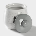 Набор сервировочный Доляна «Уютные коты», 2 предмета: молочник 270 мл, сахарница 310 мл, белый, серый - Фото 7