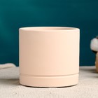 Декоративный горшок для цветов «Хедвиг», 10.5×10.5×9.7 см, керамический, бежевый 9318331 - фото 319916098