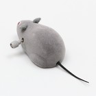 Мышь заводная, 7 см, фасовка 25 шт, микс цветов - Фото 4