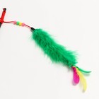 Дразнилка-удочка с перьями, пуховым хвостиком и бусинами, зелёная - Фото 3