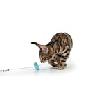 Дразнилка «Нежный хлоп» с перьями и бубенчиками, 60 см - Фото 4