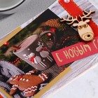 Конверт ручной работы "С Новым Годом!" фигурный пряник, олень в очках - фото 49545959