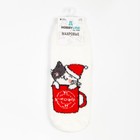 Носки женские махровые «Котик в кружке», цвет белый, размер 36-40 - фото 23286540