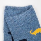 Носки детские шерстяные «Динозаврики», цвет МИКС, размер 18 - Фото 2