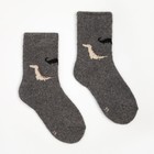 Носки детские шерстяные «Динозаврики», цвет МИКС, размер 18 - Фото 7