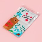 Молочный шоколад «Тебе с любовью», 1 шт. х 5 г. - фото 24120846