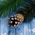 Новогодний набор № 3 - фото 21813507