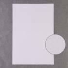 Канва для вышивания №18, 30 × 20 см, цвет белый - фото 11418769