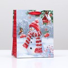 Пакет подарочный "Смешной снеговик", 18 х 22,3 х 10 см - фото 321365457
