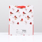 Пакет подарочный "Пернатые", 26 х 32 х 12 см. (комплект 6 шт) - фото 28138694