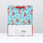 Пакет подарочный "Порхание", 26 х 32 х 12 см. - фото 21845652