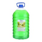 Жидкое мыло Romax «Зеленое яблоко», 5 л - фото 9790929