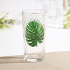 Стакан для коктейля высокий «Кокос», 250 мл - фото 44245643