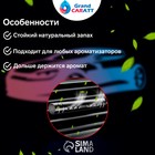 Ароматизатор в дефлектор Grand Caratt, металл, 8 см, морской - Фото 3