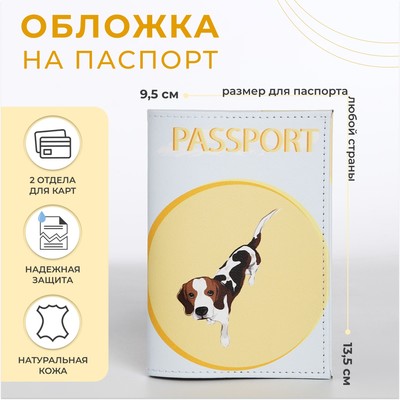 Обложка для паспорта, цвет голубой