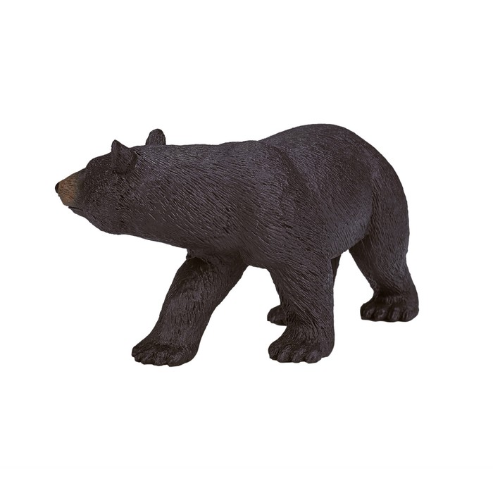 Фигурка Konik «Американский чёрный медведь» - фото 1906101340
