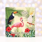 Подарочный набор Liss Kroully: пена для ванн восстанавливающая+ гель для душа увлажняющий, п - фото 24363266