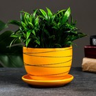 Горшок для цветов «Магнолия», 500 мл, d=13 см, h=10 см, керамика, с поддоном, оранжевый - Фото 1