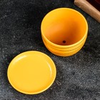 Горшок для цветов «Магнолия», 500 мл, d=13 см, h=10 см, керамика, с поддоном, оранжевый - Фото 3