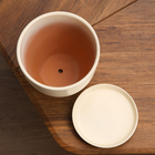 Горшок цветочный с поддоном 2,4 л, бежевый керамика, "Нежность" (М) 9319988 - фото 24059278