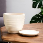 Горшок цветочный с поддоном 1,4 л, бежевый керамика, "Нежность" (М) 9319988