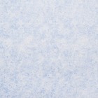 Обои бумажные "Пиар-Л+" С14Ф-756Ф-01, 0,53х10,05м - фото 21846663