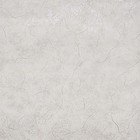 Обои бумажные "Влада фон-Л" С14Ф-761Ф-06, 0,53х10,05м - фото 31032349