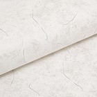 Обои бумажные "Влада фон-Л" С14Ф-761Ф-06, 0,53х10,05м - фото 31032351