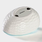 Салатник Доляна «Зайка», 430 мл, 18×14×11 см, голубой - Фото 5