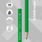 Карандаш чернографитный ErichKrause. Classic 100, HB, шестигранный, пластиковый, МИКС - Фото 4