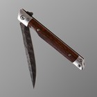 Нож складной "Игла-2" 21см, клинок 94мм/1мм - Фото 4
