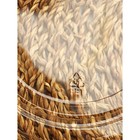 Крышка Ecolife, d=15.5 см, для миски на 500 мл, пластик - Фото 4