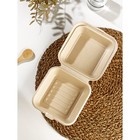 Ланч - бокс для бенто - торта и бургера Доляна, 450 мл, 15×8 см, неразъёмная крышка, сахарный тростник - Фото 2