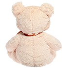 Мягкая игрушка «Медведь Саша» светлый, 50 см - Фото 3