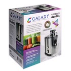 Соковыжималка Galaxy GL 0801, 700 Вт, 1.5 л, серебристая - фото 51336644 Соковыжималка Galaxy GL 0801, 700 Вт, 1.5 л, серебристая - фото 51336644