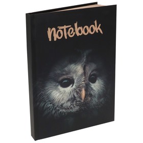 

Записная книга А5, 80 листов в линию "Сова", твёрдая обложка, ламинация Soft-Touch, блок крафт 70 г/м2