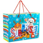 Пакет-коробка «Surprise», 15х40х30 см, Paw Patrol 7816818 - фото 13339451